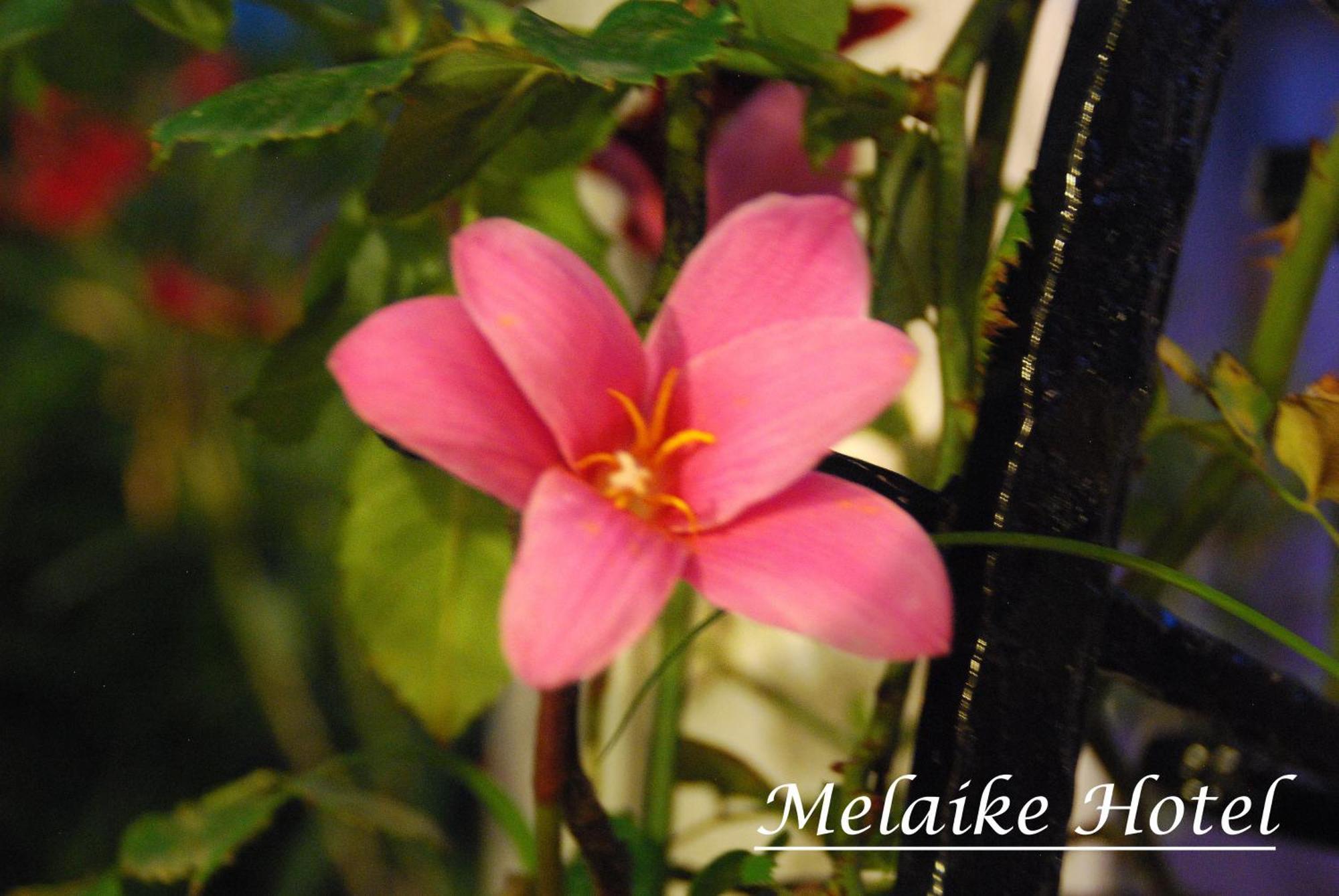 Melaike Hotel 포카 외부 사진
